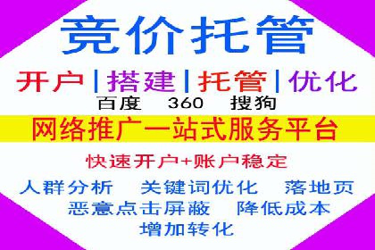 案例解析：专业SEM托管服务助力企业品牌塑造